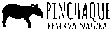 reservanaturalpinchaque.com